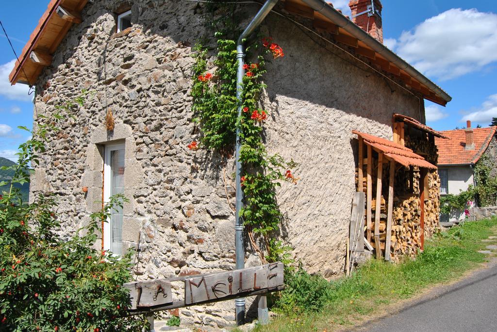 Gite De La Meille Chamalières-sur-Loir Værelse billede